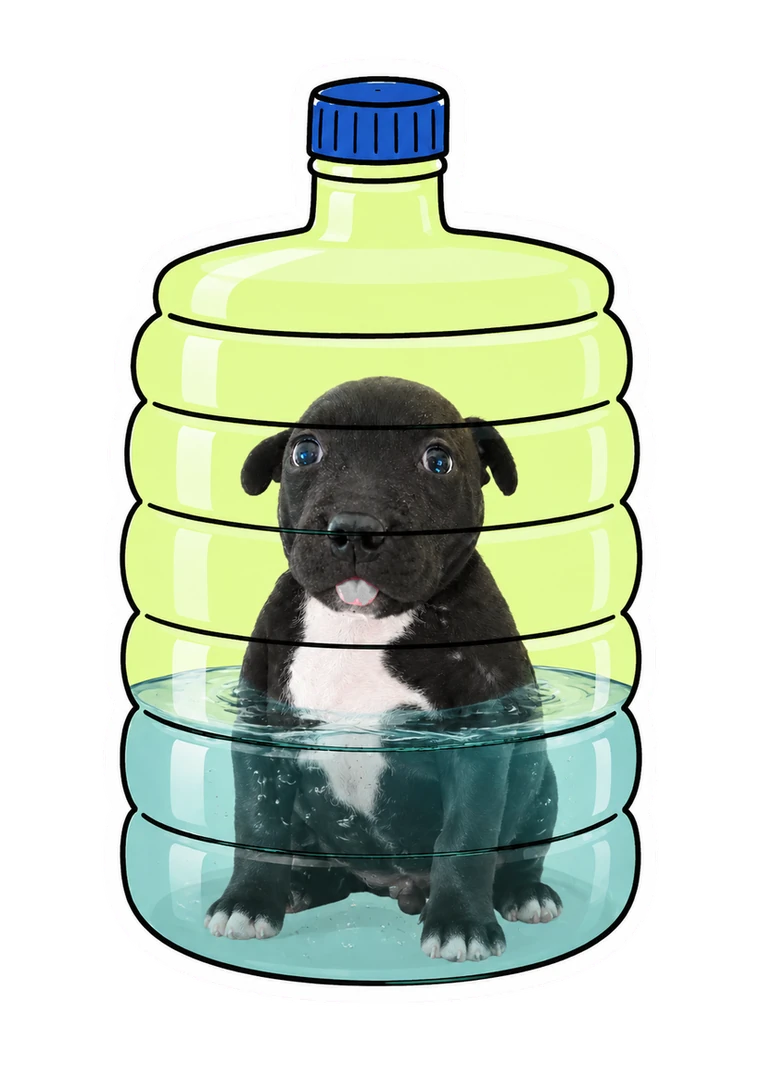 Pup sealed in the water cooler bottle
